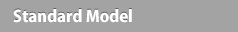 Standard Model